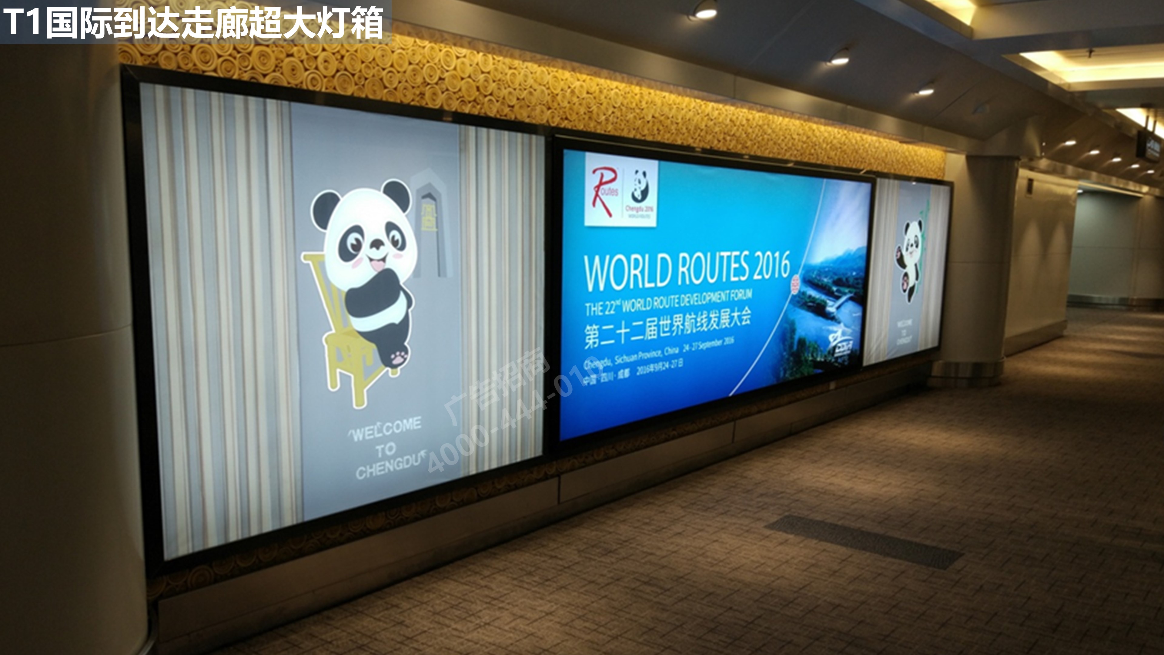 成都机场走廊广告